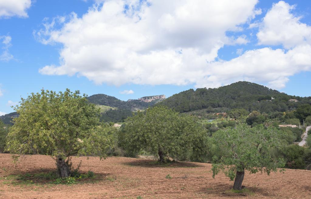 Finca Batlet S'Horta Exteriör bild
